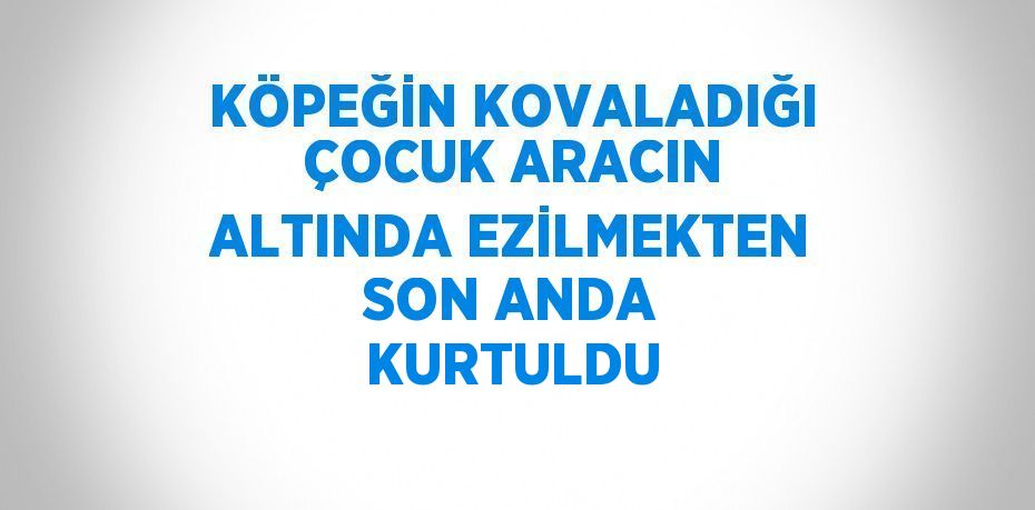 KÖPEĞİN KOVALADIĞI ÇOCUK ARACIN ALTINDA EZİLMEKTEN SON ANDA KURTULDU