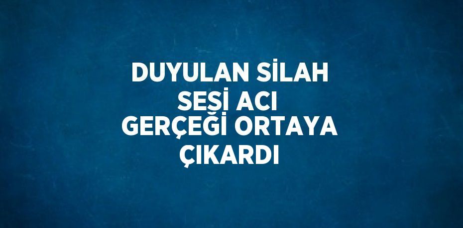 DUYULAN SİLAH SESİ ACI GERÇEĞİ ORTAYA ÇIKARDI