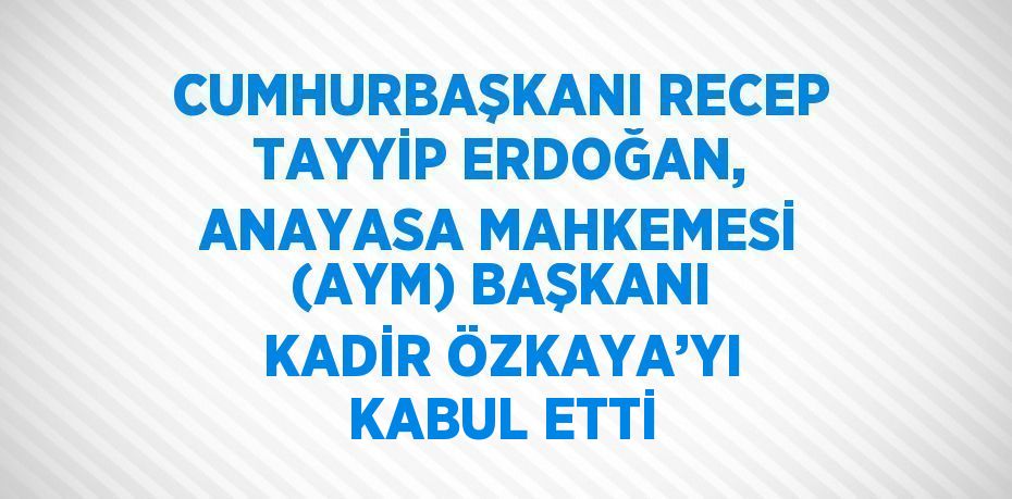 CUMHURBAŞKANI RECEP TAYYİP ERDOĞAN, ANAYASA MAHKEMESİ (AYM) BAŞKANI KADİR ÖZKAYA’YI KABUL ETTİ