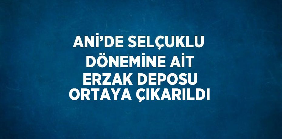 ANİ’DE SELÇUKLU DÖNEMİNE AİT ERZAK DEPOSU ORTAYA ÇIKARILDI