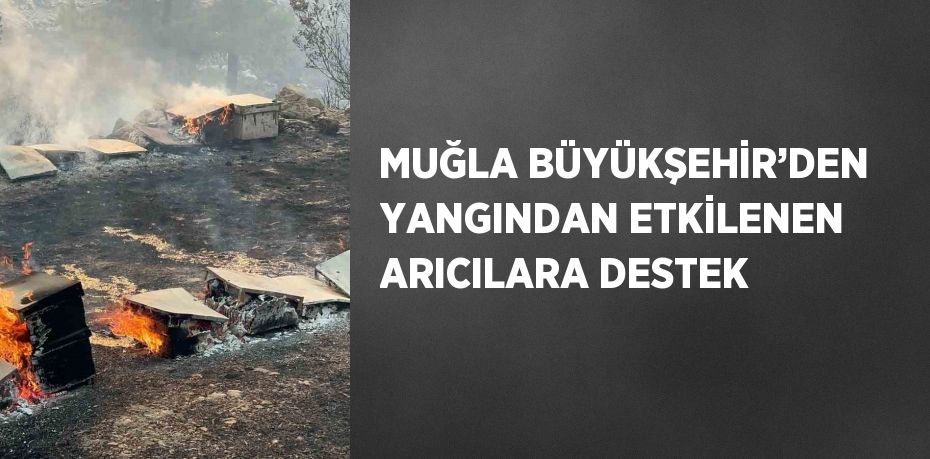 MUĞLA BÜYÜKŞEHİR’DEN YANGINDAN ETKİLENEN ARICILARA DESTEK