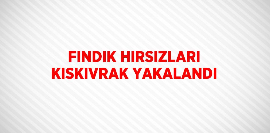 FINDIK HIRSIZLARI KISKIVRAK YAKALANDI