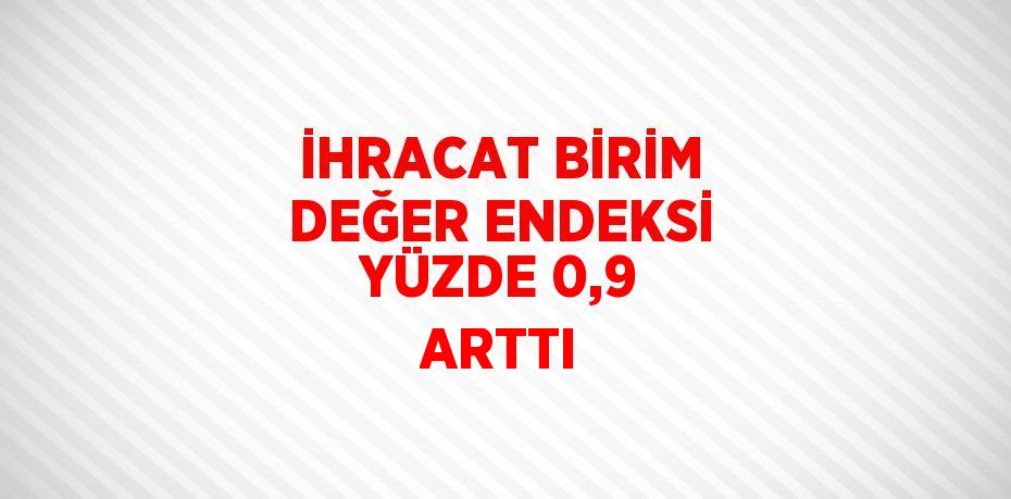 İHRACAT BİRİM DEĞER ENDEKSİ YÜZDE 0,9 ARTTI