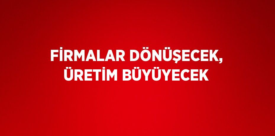 FİRMALAR DÖNÜŞECEK, ÜRETİM BÜYÜYECEK