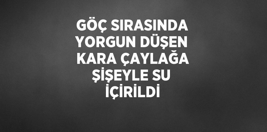 GÖÇ SIRASINDA YORGUN DÜŞEN KARA ÇAYLAĞA ŞİŞEYLE SU İÇİRİLDİ