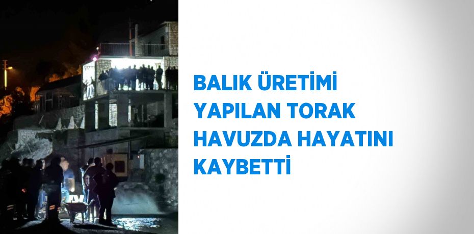 BALIK ÜRETİMİ YAPILAN TORAK HAVUZDA HAYATINI KAYBETTİ