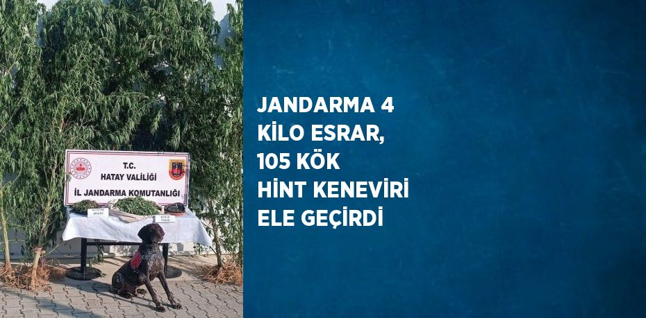 JANDARMA 4 KİLO ESRAR, 105 KÖK HİNT KENEVİRİ ELE GEÇİRDİ