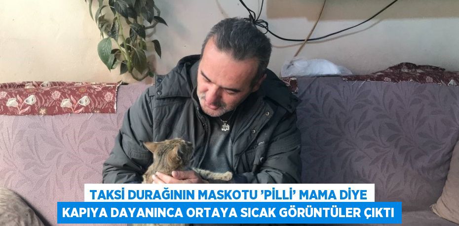 TAKSİ DURAĞININ MASKOTU ’PİLLİ’ MAMA DİYE KAPIYA DAYANINCA ORTAYA SICAK GÖRÜNTÜLER ÇIKTI