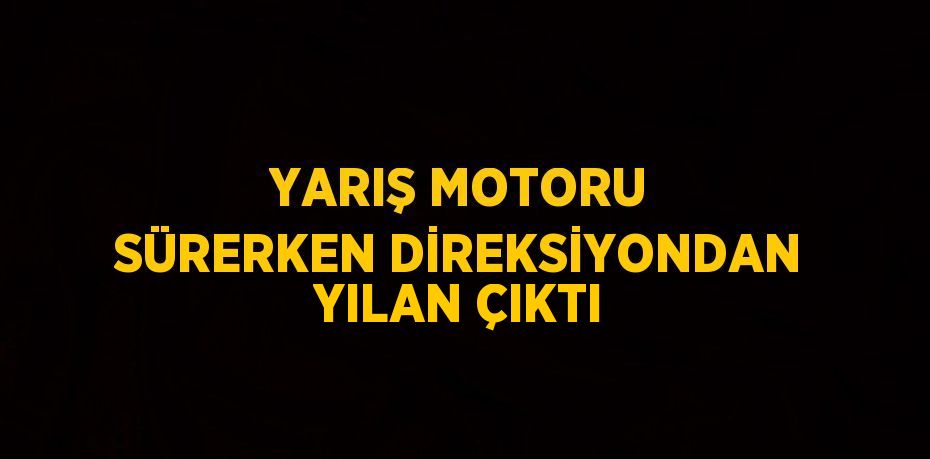 YARIŞ MOTORU SÜRERKEN DİREKSİYONDAN YILAN ÇIKTI