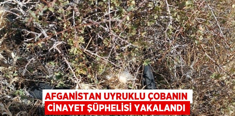 AFGANİSTAN UYRUKLU ÇOBANIN CİNAYET ŞÜPHELİSİ YAKALANDI