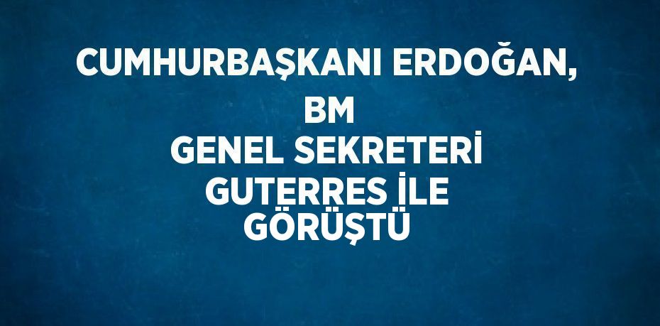 CUMHURBAŞKANI ERDOĞAN,  BM GENEL SEKRETERİ GUTERRES İLE GÖRÜŞTÜ