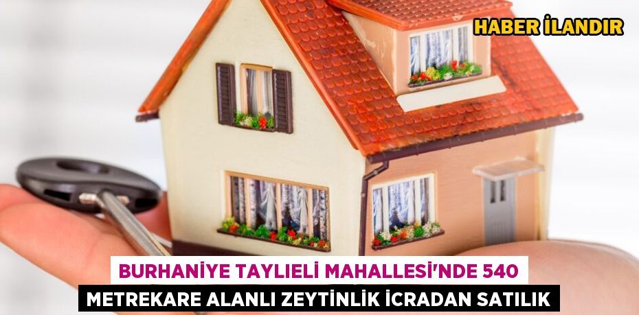 Burhaniye Taylıeli Mahallesi'nde 540 metrekare alanlı zeytinlik icradan satılık