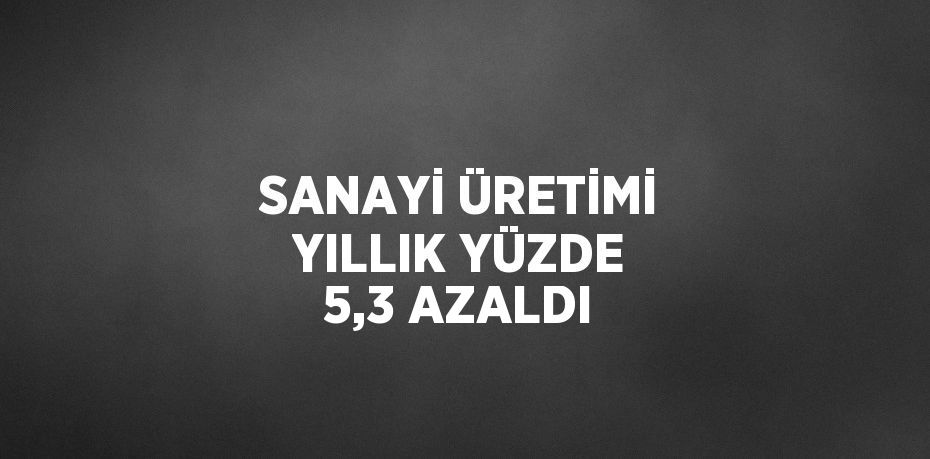 SANAYİ ÜRETİMİ YILLIK YÜZDE 5,3 AZALDI