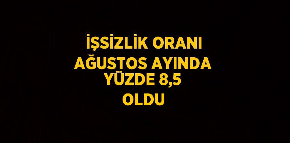 İŞSİZLİK ORANI AĞUSTOS AYINDA YÜZDE 8,5 OLDU