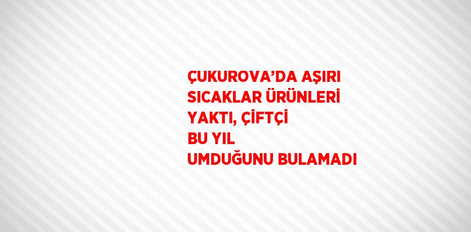 ÇUKUROVA’DA AŞIRI SICAKLAR ÜRÜNLERİ YAKTI, ÇİFTÇİ BU YIL UMDUĞUNU BULAMADI