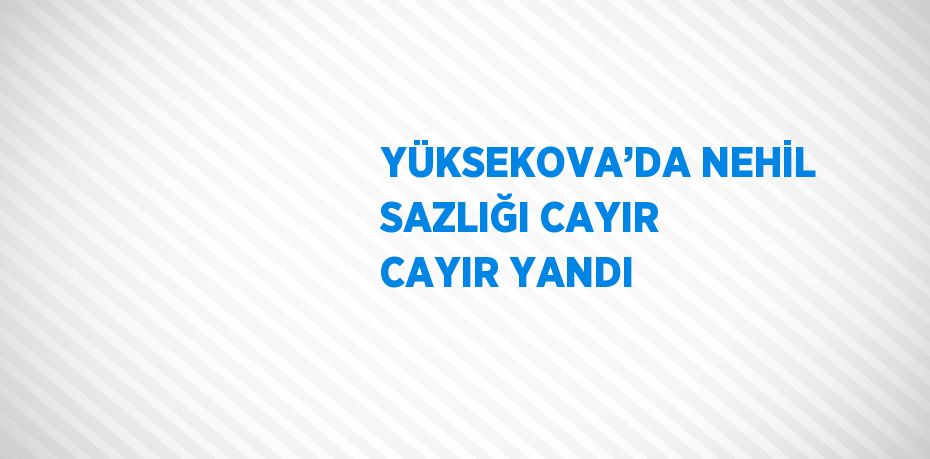 YÜKSEKOVA’DA NEHİL SAZLIĞI CAYIR CAYIR YANDI