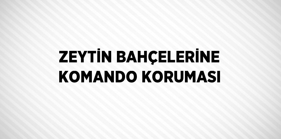 ZEYTİN BAHÇELERİNE KOMANDO KORUMASI