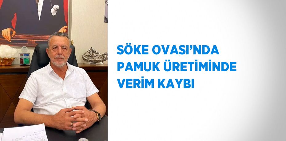 SÖKE OVASI’NDA PAMUK ÜRETİMİNDE VERİM KAYBI