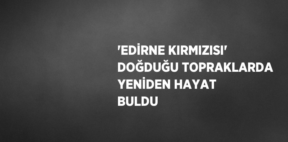 'EDİRNE KIRMIZISI' DOĞDUĞU TOPRAKLARDA YENİDEN HAYAT BULDU