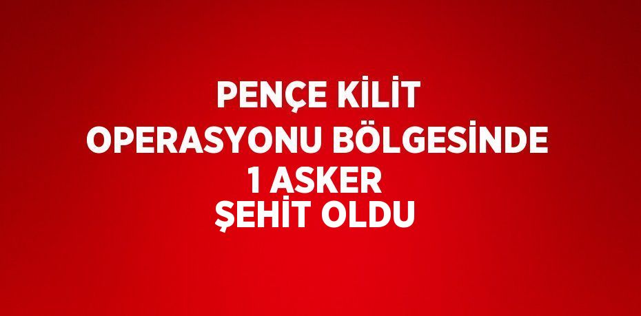 PENÇE KİLİT OPERASYONU BÖLGESİNDE 1 ASKER ŞEHİT OLDU