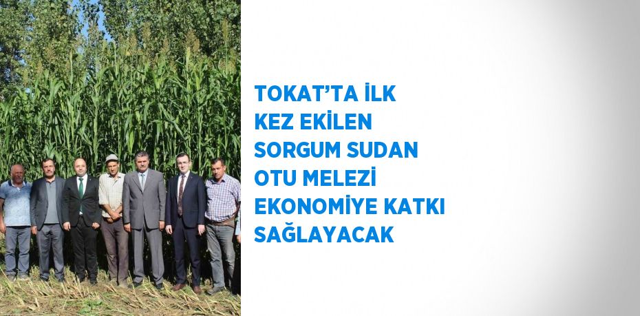 TOKAT’TA İLK KEZ EKİLEN SORGUM SUDAN OTU MELEZİ EKONOMİYE KATKI SAĞLAYACAK