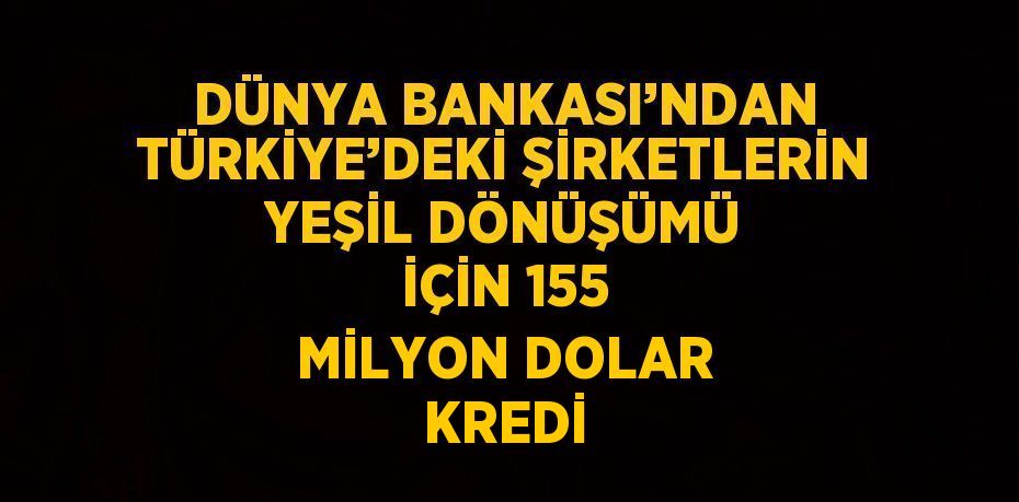 DÜNYA BANKASI’NDAN TÜRKİYE’DEKİ ŞİRKETLERİN YEŞİL DÖNÜŞÜMÜ İÇİN 155 MİLYON DOLAR KREDİ