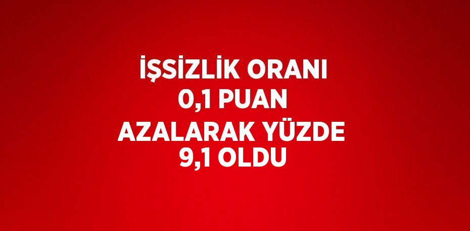 İŞSİZLİK ORANI 0,1 PUAN AZALARAK YÜZDE 9,1 OLDU