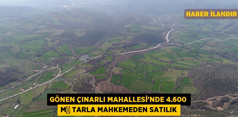 Gönen Çınarlı Mahallesi'nde 4.600 m² tarla mahkemeden satılık