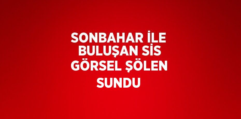 SONBAHAR İLE BULUŞAN SİS GÖRSEL ŞÖLEN SUNDU