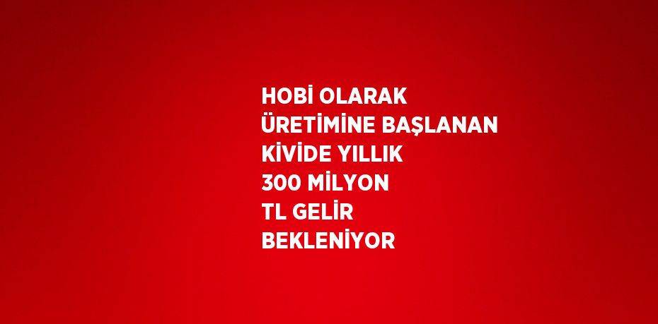 HOBİ OLARAK ÜRETİMİNE BAŞLANAN KİVİDE YILLIK 300 MİLYON TL GELİR BEKLENİYOR