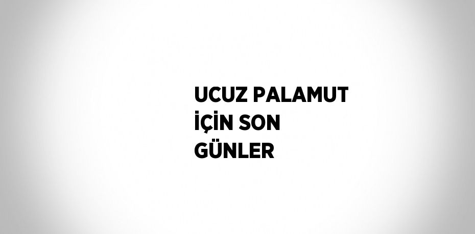 UCUZ PALAMUT İÇİN SON GÜNLER