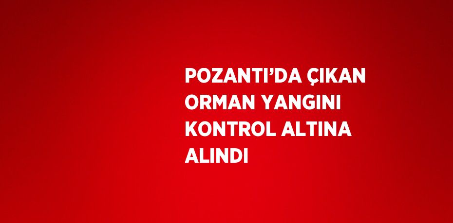 POZANTI’DA ÇIKAN ORMAN YANGINI KONTROL ALTINA ALINDI