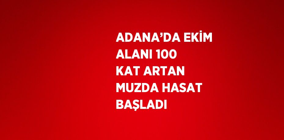 ADANA’DA EKİM ALANI 100 KAT ARTAN MUZDA HASAT BAŞLADI