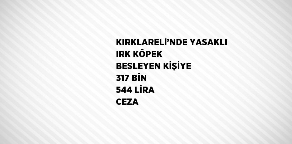 KIRKLARELİ’NDE YASAKLI IRK KÖPEK BESLEYEN KİŞİYE 317 BİN 544 LİRA CEZA