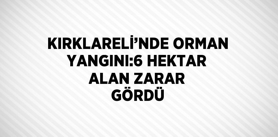 KIRKLARELİ’NDE ORMAN YANGINI:6 HEKTAR ALAN ZARAR GÖRDÜ