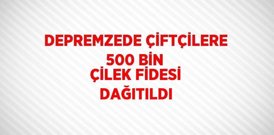 DEPREMZEDE ÇİFTÇİLERE 500 BİN ÇİLEK FİDESİ DAĞITILDI