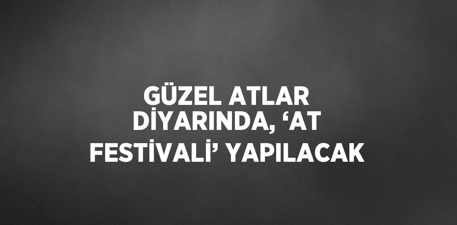 GÜZEL ATLAR DİYARINDA, ‘AT FESTİVALİ’ YAPILACAK