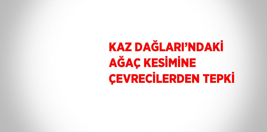 KAZ DAĞLARI’NDAKİ AĞAÇ KESİMİNE ÇEVRECİLERDEN TEPKİ