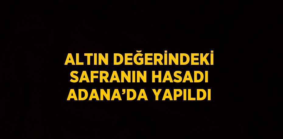 ALTIN DEĞERİNDEKİ SAFRANIN HASADI ADANA’DA YAPILDI