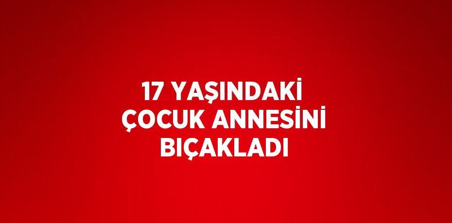 17 YAŞINDAKİ ÇOCUK ANNESİNİ BIÇAKLADI