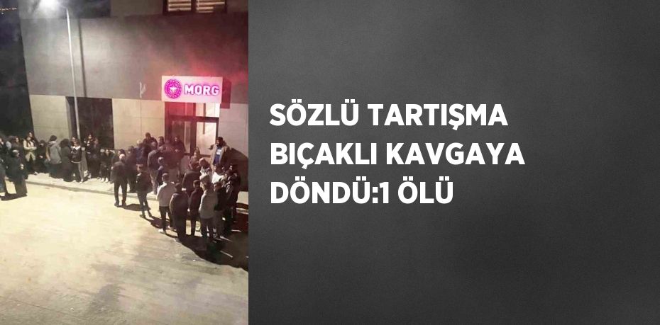 SÖZLÜ TARTIŞMA BIÇAKLI KAVGAYA DÖNDÜ:1 ÖLÜ