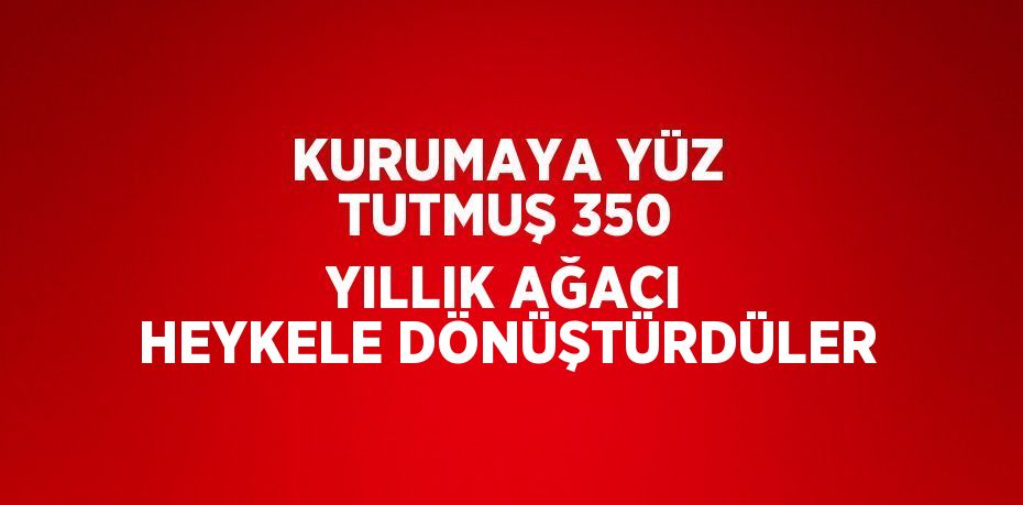 KURUMAYA YÜZ TUTMUŞ 350 YILLIK AĞACI HEYKELE DÖNÜŞTÜRDÜLER