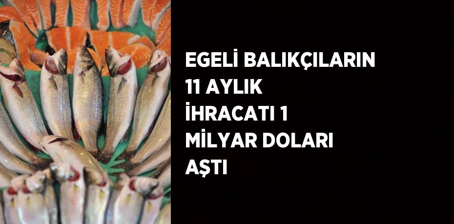 EGELİ BALIKÇILARIN 11 AYLIK İHRACATI 1 MİLYAR DOLARI AŞTI