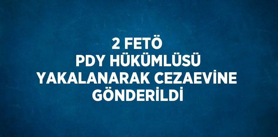 2 FETÖ PDY HÜKÜMLÜSÜ YAKALANARAK CEZAEVİNE GÖNDERİLDİ