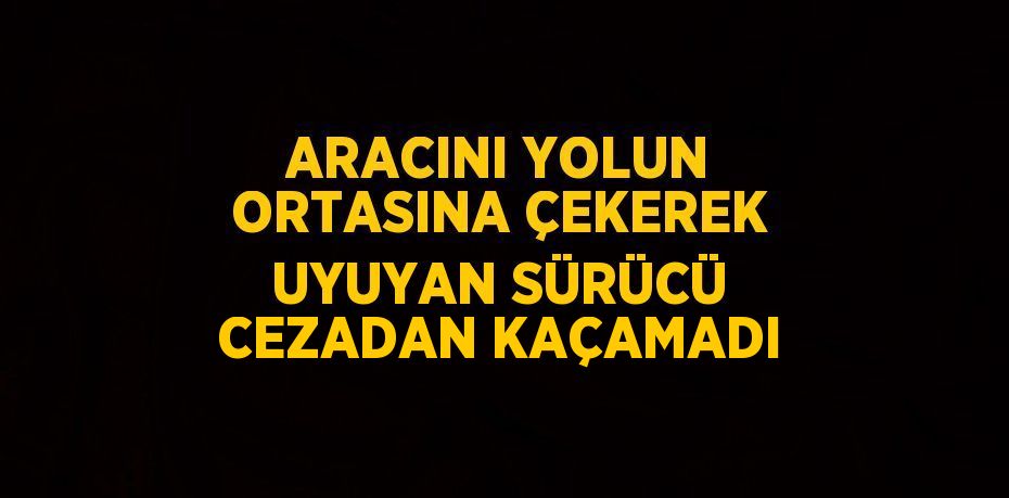 ARACINI YOLUN ORTASINA ÇEKEREK UYUYAN SÜRÜCÜ CEZADAN KAÇAMADI