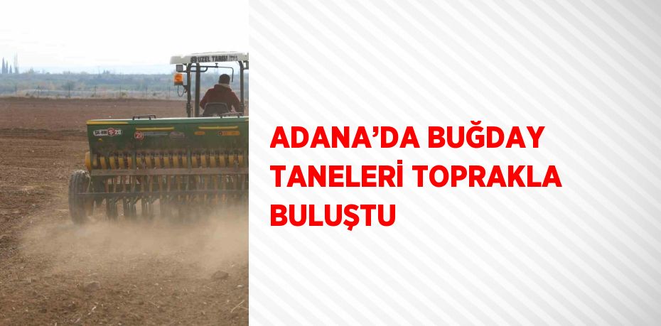 ADANA’DA BUĞDAY TANELERİ TOPRAKLA BULUŞTU