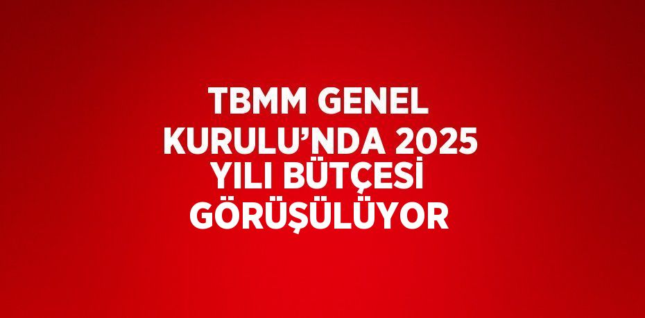 TBMM GENEL KURULU’NDA 2025 YILI BÜTÇESİ GÖRÜŞÜLÜYOR