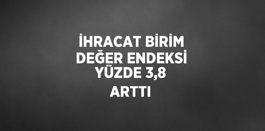 İHRACAT BİRİM DEĞER ENDEKSİ YÜZDE 3,8 ARTTI