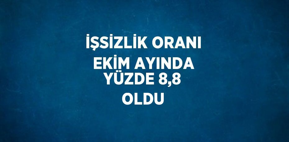 İŞSİZLİK ORANI EKİM AYINDA YÜZDE 8,8 OLDU