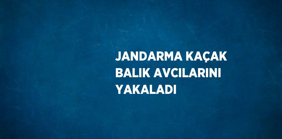 JANDARMA KAÇAK BALIK AVCILARINI YAKALADI